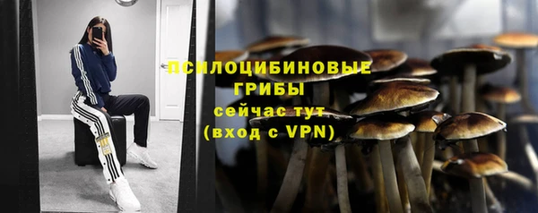 скорость Павловск