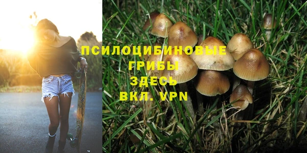 дживик Очёр