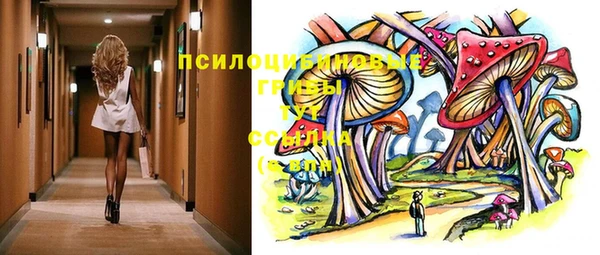 дживик Очёр