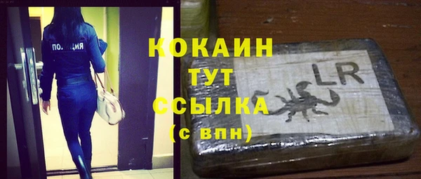 дживик Очёр