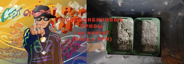 дживик Очёр